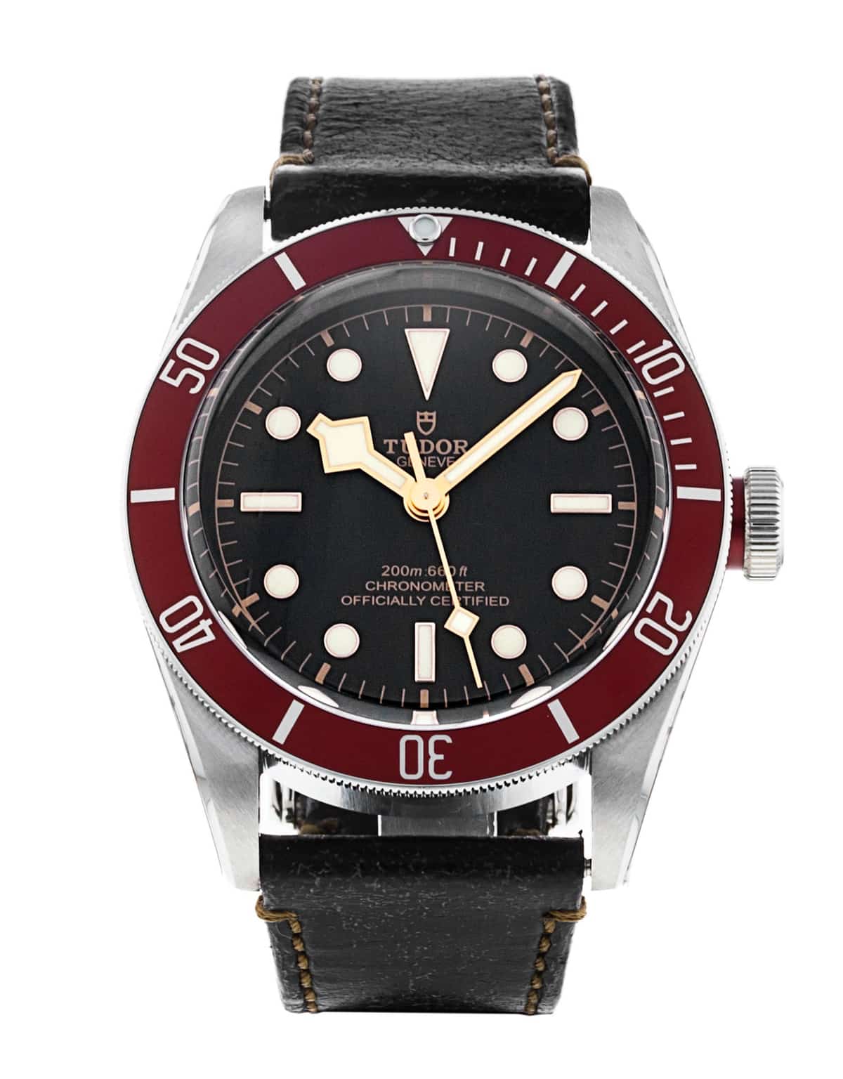Tudor Black Bay M79230R-0011